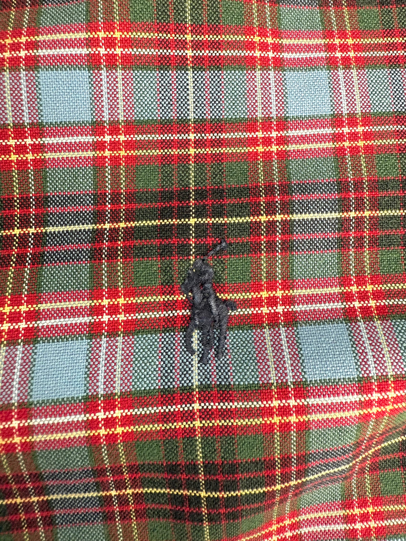 Camisa Ralph Lauren (XXL)